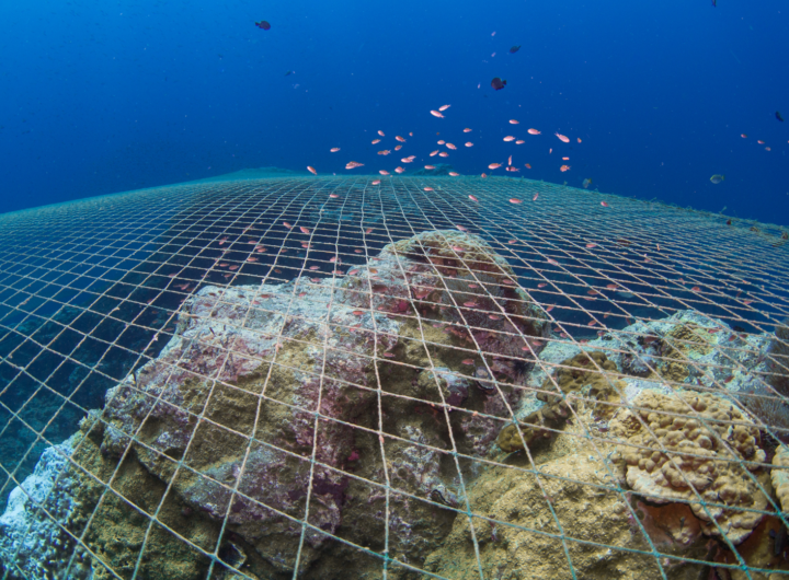 Subacquei rimuovono una grande rete da pesca impigliata in un relitto sottomarino alle Isole Tremiti.
