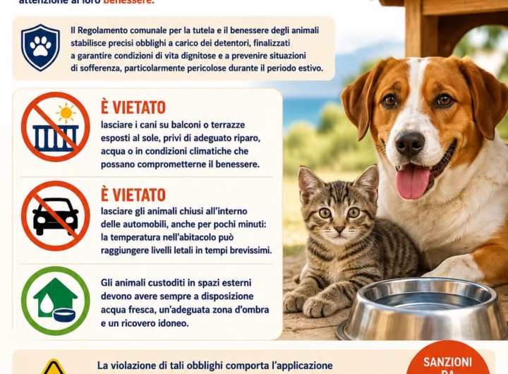 Un cane che beve acqua da una ciotola all'ombra in una giornata calda.
