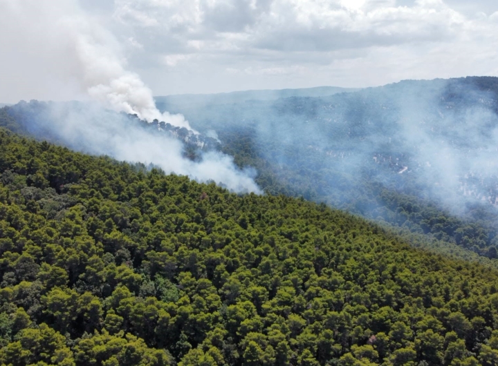 Vista aerea della Pineta Marzini nel Parco Nazionale del Gargano, area protetta dopo un incendio.