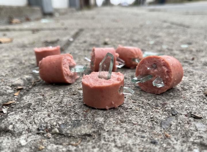 Wurstel con pezzi di vetro, pericolo per animali, ritrovati a Stornarella.