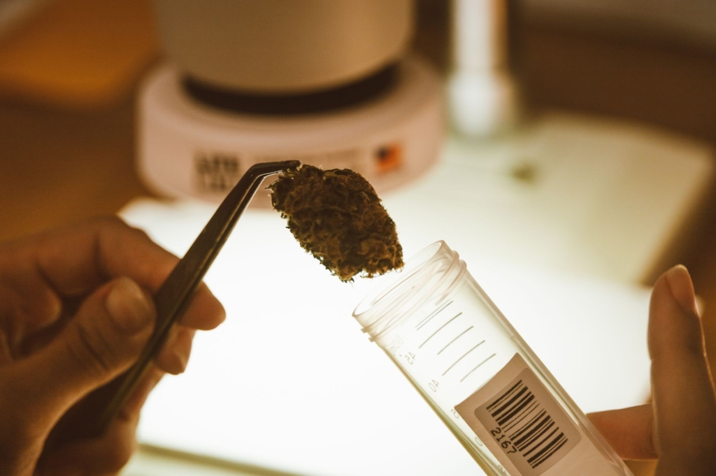 Cane antidroga della polizia penitenziaria annusa caramelle al THC in carcere a Foggia.