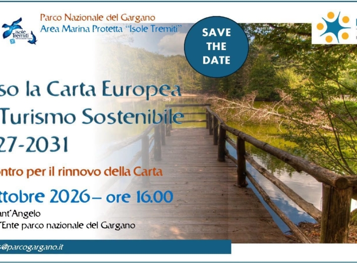 Veduta panoramica del Parco Nazionale del Gargano con la costa e il mare Adriatico.