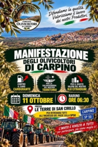 Trattori sfilano a Carpino con tricolore, olivicoltori protestano per olio extravergine.