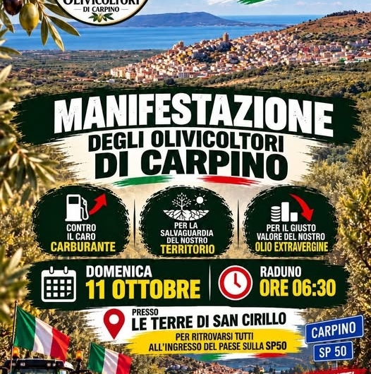 Trattori sfilano a Carpino con tricolore, olivicoltori protestano per olio extravergine.